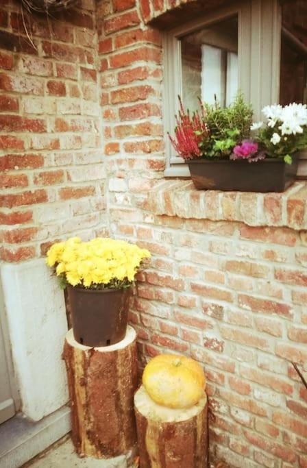 호후예트 Lesse En Ciel Vous Accueille Avec Plaisir . 빌라 외부 사진